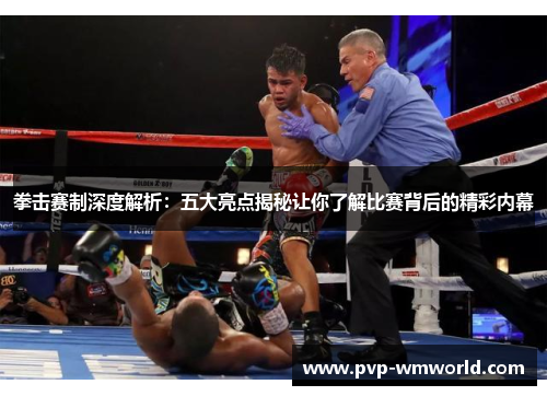 拳击赛制深度解析：五大亮点揭秘让你了解比赛背后的精彩内幕