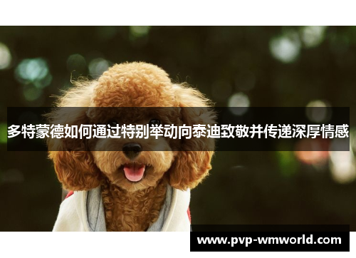 多特蒙德如何通过特别举动向泰迪致敬并传递深厚情感