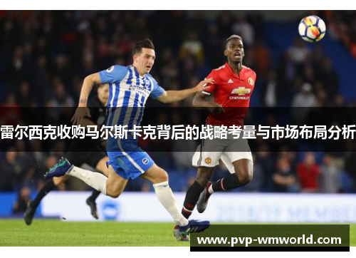 雷尔西克收购马尔斯卡克背后的战略考量与市场布局分析